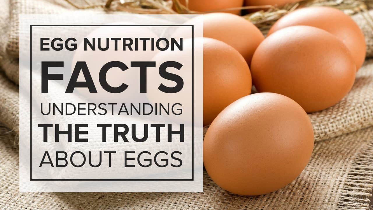 egg-nutrition-facts-understanding-the-truth-about-eggs