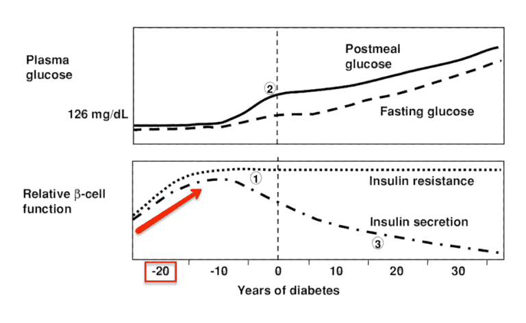 The C-Peptide Test – The Most Important Blood Test for Diabetes