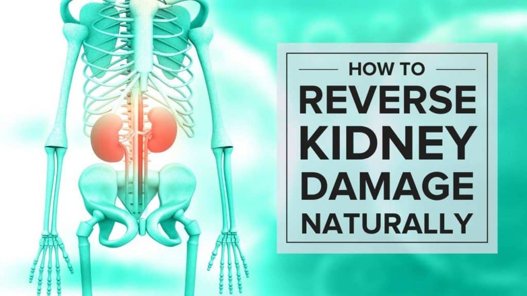 how-to-reverse-kidney-damage-naturally